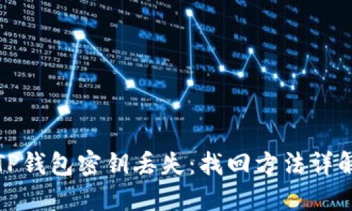 TP钱包密钥丢失:找回方法详解