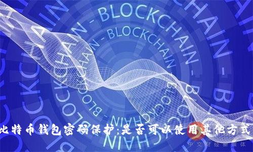 比特币钱包密码保护:是否可以使用其他方式?