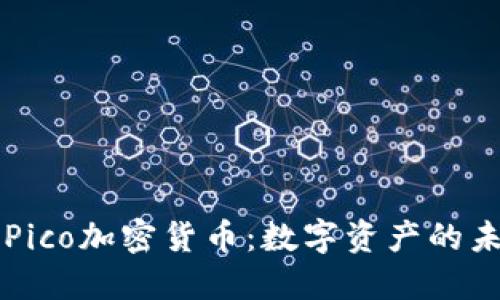 深入了解Pico加密货币：数字资产的未来与潜力