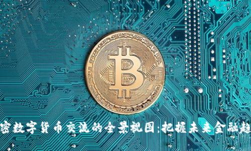 加密数字货币交流的全景视图：把握未来金融趋势
