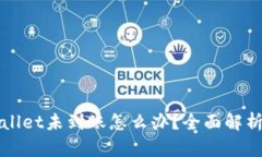 提币到TPWallet未到账怎么办？全面解析与解决方案