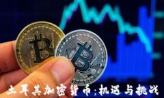 土耳其加密货币：机遇与挑战