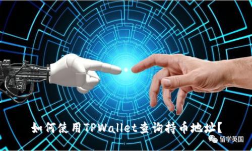 如何使用TPWallet查询持币地址？