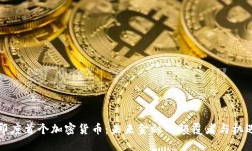 印度首个加密货币：未来金融的颠覆者与机遇