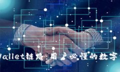 深入解析TPWallet链路：用户必懂的数字资产管理工