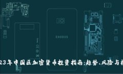 2023年中国区加密货币投资指南：趋势、风险与机