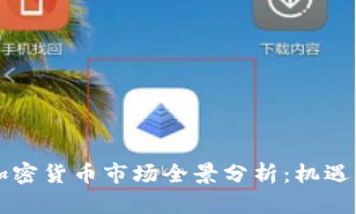 巴西加密货币市场全景分析：机遇与挑战