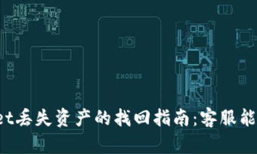 TPWallet丢失资产的找回指南:客服能帮忙吗?