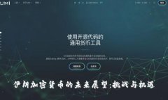伊朗加密货币的未来展望：挑战与机遇