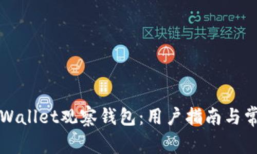 如何登录TPWallet观察钱包：用户指南与常见问题解答