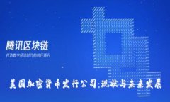 美国加密货币发行公司：现状与未来发展