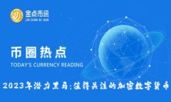 2023年潜力黑马：值得关注的加密数字货币