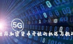 迪拜加密货币开放的机遇与挑战