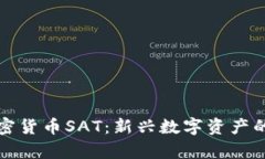 深入了解加密货币SAT：新兴数字资产的前景与挑