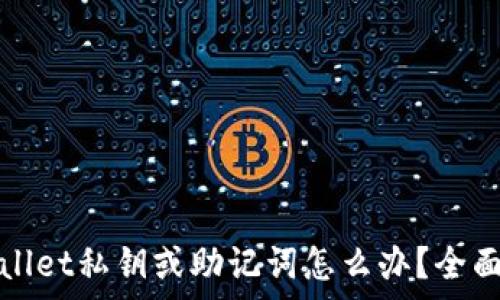   
忘记tpwallet私钥或助记词怎么办？全面解决指南