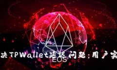 如何解决TPWallet延迟问题：用户实用指南
