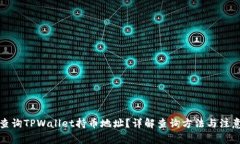 如何查询TPWallet持币地址？详解查询方法与注意事