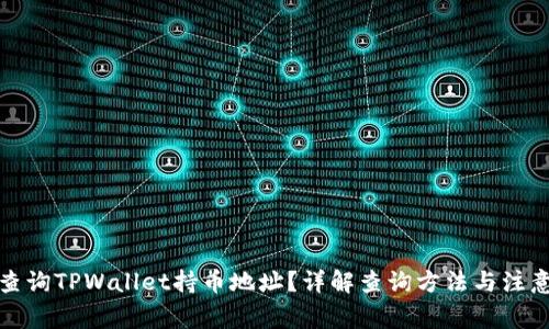 如何查询TPWallet持币地址？详解查询方法与注意事项
