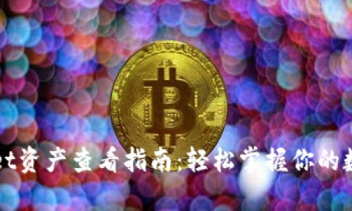 TPWallet资产查看指南：轻松掌握你的数字财富
