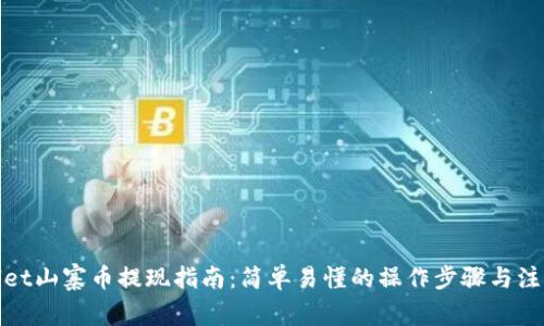 tpwallet山寨币提现指南：简单易懂的操作步骤与注意事项