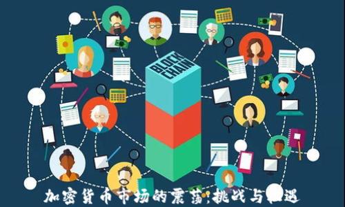 
加密货币市场的震荡：挑战与机遇