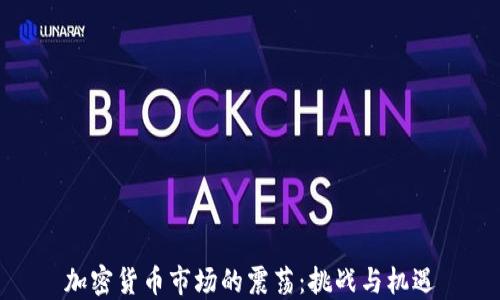 
加密货币市场的震荡：挑战与机遇
