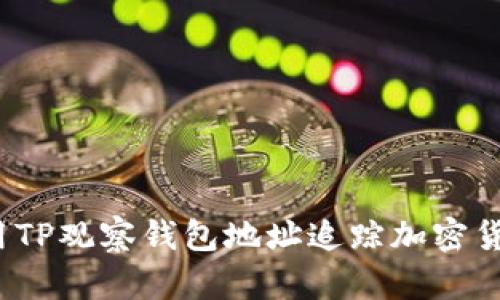 如何使用TP观察钱包地址追踪加密货币交易?