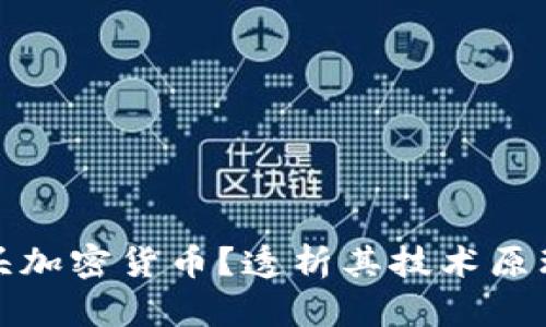 什么是狮子头加密货币？透析其技术原理与投资价值