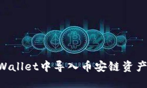 如何在TPWallet中导入币安链资产：完整指南