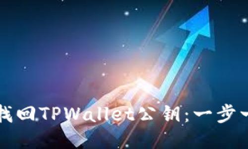 如何成功找回TPWallet公钥：一步一步的指南