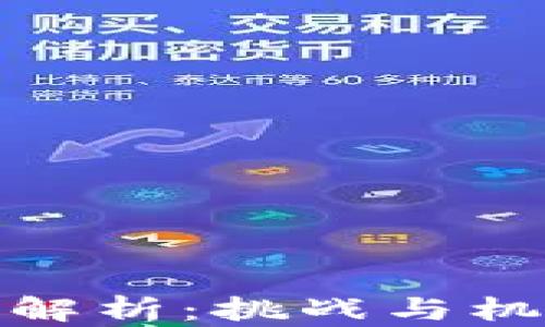 
加密货币矿难解析：挑战与机遇并存的时代