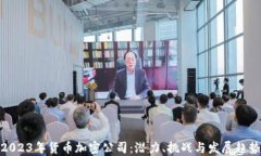 2023年货币加密公司：潜力、挑战与发展趋势