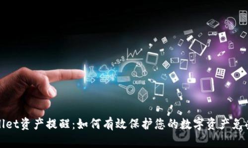 TPWallet资产提醒：如何有效保护您的数字资产免受风险