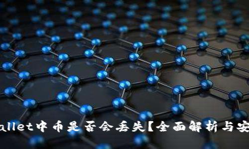 : TPWallet中币是否会丢失？全面解析与安全指南