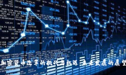 加密货币改革的挑战与机遇：未来发展的展望