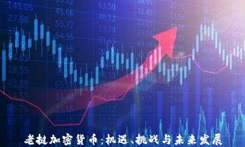 
老挝加密货币：机遇、挑战与未来发展