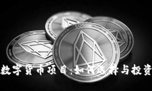 加密数字货币项目：如何选择与投资指南