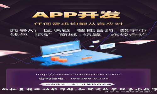 TPWallet的批量转账功能详解：如何高效管理多个数字资产交易