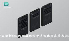 全面解析SBI控股在加密货币领域的布局与影响