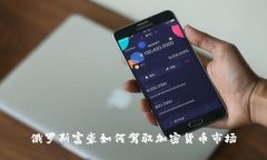 俄罗斯富豪如何驾驭加密货币市场