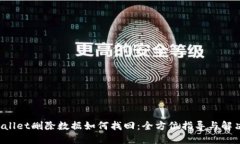 TP Wallet删除数据如何找回：全方位指导与解决方