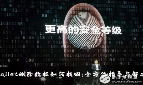 TP Wallet删除数据如何找回：全方位指导与解决方案