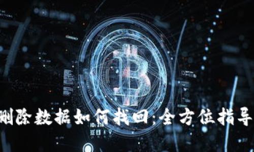 TP Wallet删除数据如何找回：全方位指导与解决方案