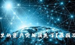 TPWallet钱包里的资产突然消失了？原因及解决方法