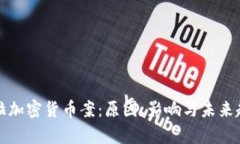 委内瑞拉加密货币案：原因、影响与未来趋势分