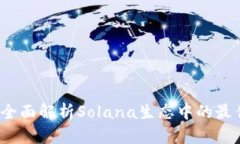 TPWallet：全面解析Solana生态中的最佳钱包选择