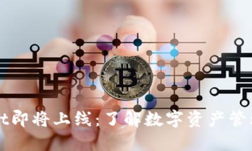 TPWallet即将上线：了解数字资产管理的未来