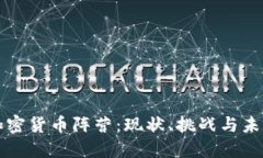 美国加密货币阵营：现状、挑战与未来发展