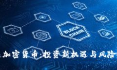 快速加密货币：投资新机遇与风险探讨