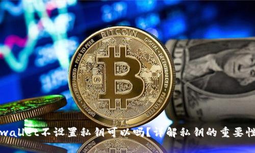### tpwallet不设置私钥可以吗？详解私钥的重要性和安全性